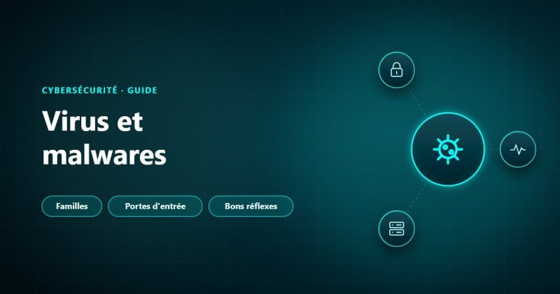Virus informatique et malwares : familles de logiciels malveillants, portes d'entrée dans l'entreprise et bons réflexes en cas d'infection